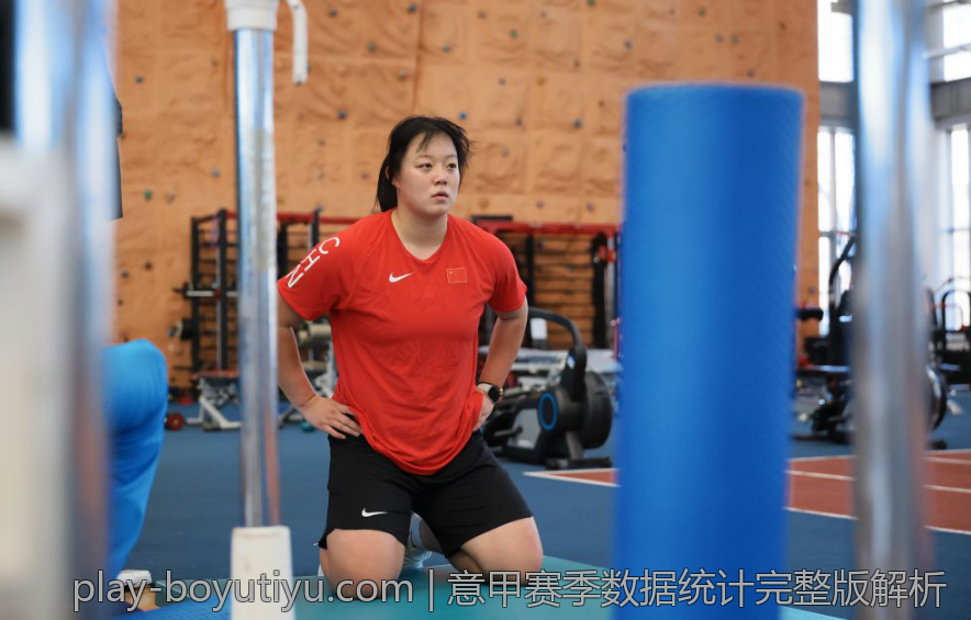 意甲赛季数据统计完整版解析